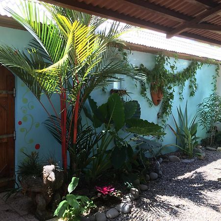Sueno Grande B&B Puerto Viejo de Talamanca Екстериор снимка