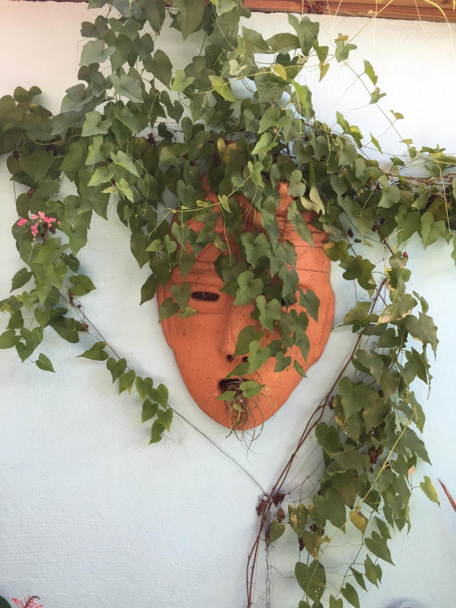 Sueno Grande B&B Puerto Viejo de Talamanca Екстериор снимка