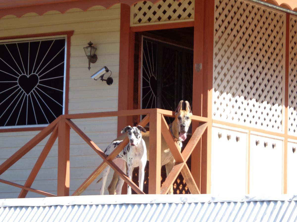 Sueno Grande B&B Puerto Viejo de Talamanca Екстериор снимка